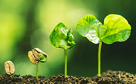 障がいのある方の採用 イメージ